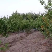 باغ در خاتون‌آباد|فروش خانه و ویلا|اصفهان, خاتون‌آباد|دیوار