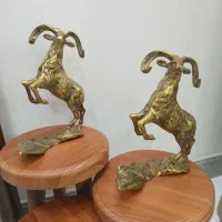 دوتا گوزن برنج