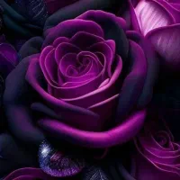 یک عدد کیف پول گمشده