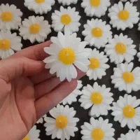 شمع مارگاریت بابوبه