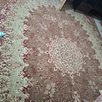 قالی ۱۲متری