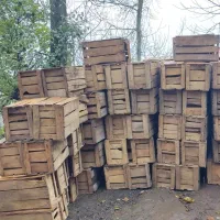 جعبه چوبی درجه یک|مصالح و تجهیزات ساختمان|کلاچای, |دیوار