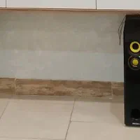 اسپیکر باند دوقلو