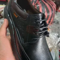 کفش مردانه|کیف، کفش، کمربند|زنجان, |دیوار