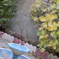 ویلایی دلنشین 19/1 بهاران