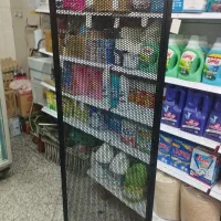 استند رگال
