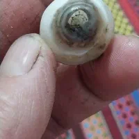 باباقوری سلطانی بسیارزیبا وچشم نواز