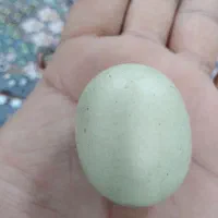 سنگ اسیاب یاهمان سنگ ساروچ سنگ الماس|کلکسیون اشیاء عتیقه|تهران, تهران پارس|دیوار