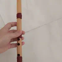 فروش نی رسولی نو