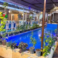 باغ رستوران پاشا باغچه با پک های ویژه