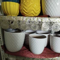 گلدان|گل و گیاه طبیعی|قم, میرزائیه|دیوار