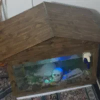 آکواریوم ماهی باتمام لوازم برقی و تزعینی|ماهی|نیشابور, مدرس|دیوار