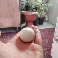 یک عدد سنگ الماس اسیاب