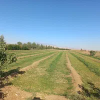 طرح کشاورزی و منزل مسکونی ودامدار|فروش زمین و ملک کلنگی|مهاباد (اصفهان), |دیوار