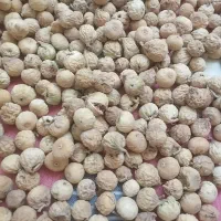 انجیر گوشتی تازه کیلویی ۴۸۰|خوردنی و آشامیدنی|شیراز, شهرک ولیعصر|دیوار