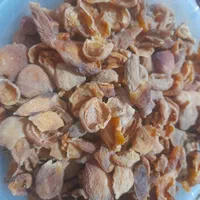 برگه زردآلو آفتابی امسالی وهسته|خوردنی و آشامیدنی|مشهد, رده|دیوار