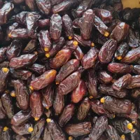 خرماپیاروم ربی باقیمت مناسب