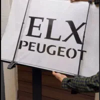 پرده عقب مدل سفید و سفید طرح ELX