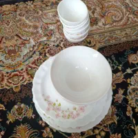 ظروف چینی آرکوپال