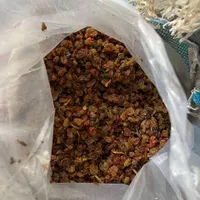 کشمش آفتابی درجه یک|خوردنی و آشامیدنی|ابهر, |دیوار