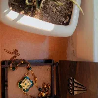 پابند با ورق طلای ۲۴ عیار