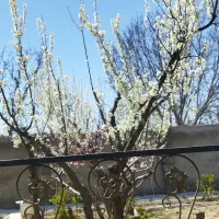 فروش باغ ویلا|فروش خانه و ویلا|هشتگرد, ایقربلاغ|دیوار