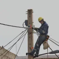 نیرو کار