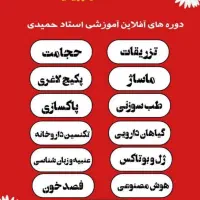 ارائه دوره های افلاین