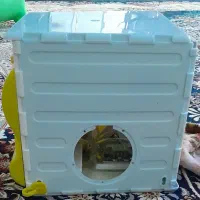 لانه طوطی