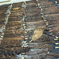 خریدار اصلی موی طبیعی