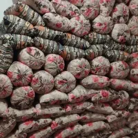 تولیدی تشک بالشت پشتی الیاف|رختخواب، بالش، پتو|دزفول, |دیوار