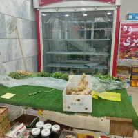 یخچال ایستاده ویترینی