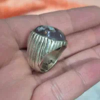 شجر بهاره|جواهرات|باقرشهر, |دیوار