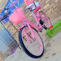 دوچرخه 20 دخترانه صورتی|دوچرخه، اسکیت، اسکوتر|تربت‌حیدریه, کلاته توکلی|دیوار