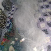 تورماهیگیری ولنگر