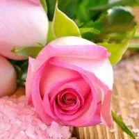عقدنامه دائم ،موقت وطلاق