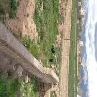 یک-قطعه-زمین-به-مساحت-220متر-به-فروش-میرسد