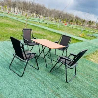 نشیمن ضروری گردشگری