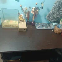 میز|میز تحریر و کامپیوتر|اهواز, شهدای انتظامی|دیوار