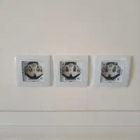 برقکاری ساختمان|خدمات پیشه و مهارت|میناب, |دیوار