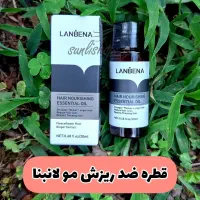 شامپو ریزش مو رزماری|آرایشی، بهداشتی، درمانی|رفسنجان, |دیوار