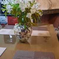 گلدان شیک نو