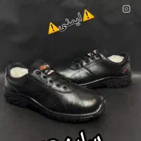کفش ایمنی خارجی|کیف، کفش، کمربند|دوگنبدان, |دیوار