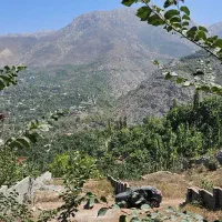 زمین 4دیواری شده با جواز ساخت|فروش زمین و ملک کلنگی|گزنک, |دیوار