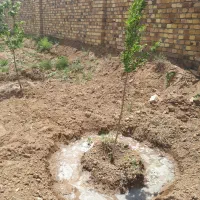 باغ ویلا فروشی