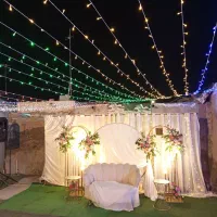 نور پردازی نخل