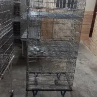 قفس شش خوان خان پژاوندی طوطی و ۳ خان اردشیر