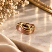طلا|جواهرات|آشخانه, |دیوار