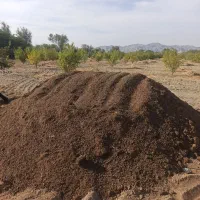 سلام|خدمات باغبانی و درختکاری|رودان, |دیوار