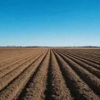 زمین-کشاورزی-برای-اجاره-به-مساحت-2-3000هکتار